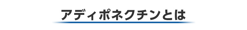 アディポネクチンとは