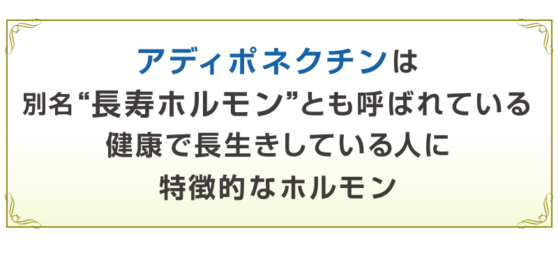 アディポネクチンは、別名長寿ホルモン