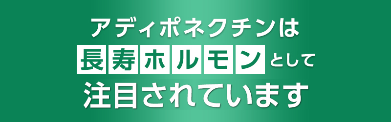 アディポネクチンは、長寿ホルモンとして注目される成分