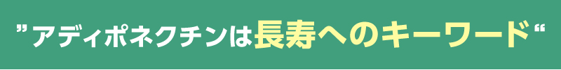 アディポネクチンは長寿へのキーワード