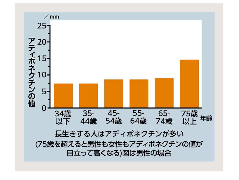 アディポネクチン　説明5