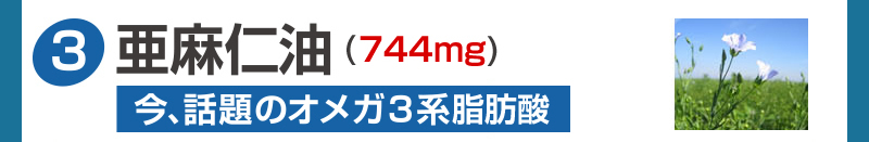 亜麻仁油 600mg 今話題のオメガ3系油